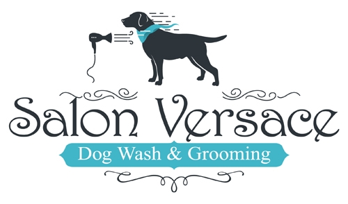 cleaning a dog grooming salon