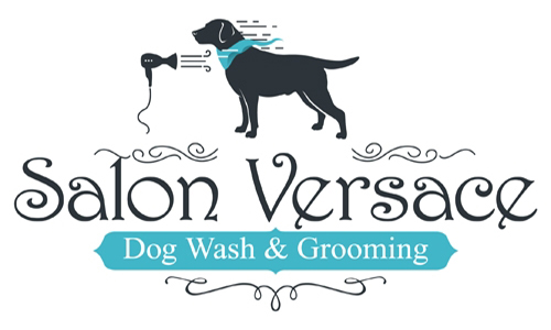 Salon Versace Dog Wash & Grooming